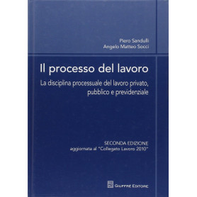 Il processo del lavoro. La disciplina processuale del lavoro privato pubblico e previdenziale