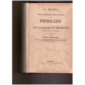 La Pratica del Codice di procedura civile italiano ossia Formolario degli atti giudiziari più importanti