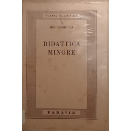 Didattica minore