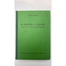 Il processo cautelare. (I sequestri e i provvedimenti d'urgenza)