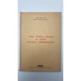Guida teorico pratica al nuovo processo amministrativo