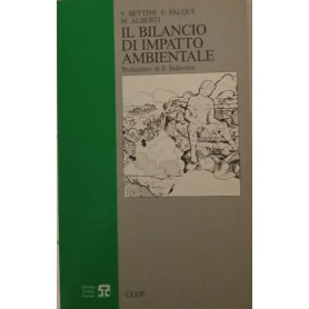 Il bilancio di impatto ambientale : teorie e metodi