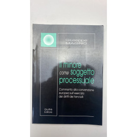 Il minore come soggetto processuale