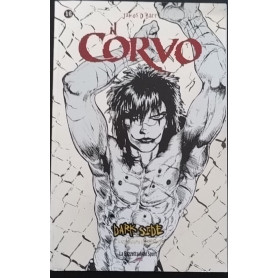 Il corvo