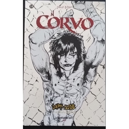 Il corvo