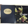 L'orchidea