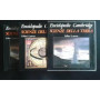 Enciclopedie Cambridge. Scienze della terra