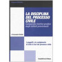 La disciplina del processo civile. Compendio teorico-pratico degli istituti processuali