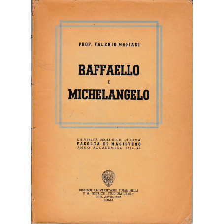 Raffaello e Michelangelo