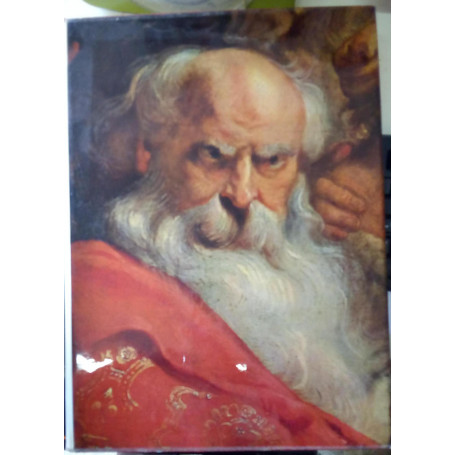 La pittura fiamminga. Da Hieronymus Bosch a Rubens secondo volume.