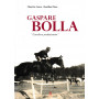 Gaspare Bolla. "Cavaliere perdutissimo".