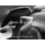 Silenzi da guardare