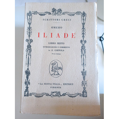 Iliade libro Sesto