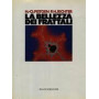 La bellezza dei frattali : immagini di sistemi dinamici complessi