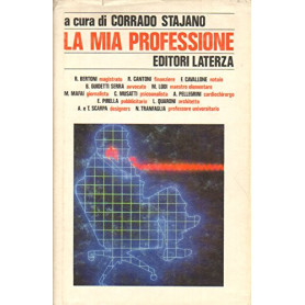 La mia professione