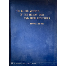 The blood vessels of the human skin and their responses