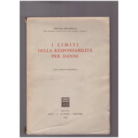 I limiti della responsabilità per danni