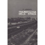 Traumatologia della strada