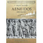 Aeneidos. Liber quartus