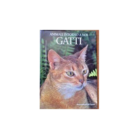 Animali intorno a noi - gatti