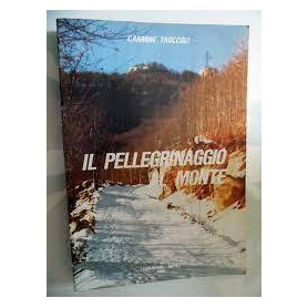 IL PELLEGRINAGGIO AL MONTE