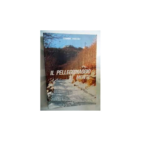 IL PELLEGRINAGGIO AL MONTE