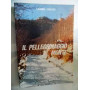 IL PELLEGRINAGGIO AL MONTE