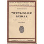 Tubercolosi renale
