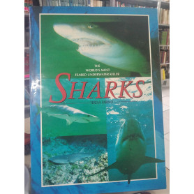 Sharks