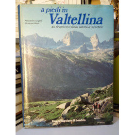 A piedi in Valtellina