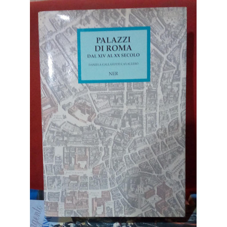 Palazzi di Roma dal XIV al XX secolo.