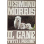Il cane tutti i perche'