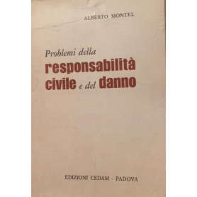 Problemi della responsabilità civile e del danno.