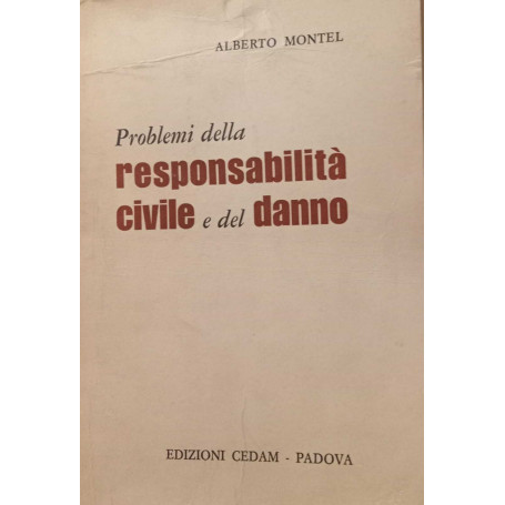 Problemi della responsabilità civile e del danno.