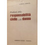Problemi della responsabilità civile e del danno.