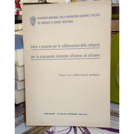 Intese e proposte per la collaborazione della categoria per la propaganda industriale all'interno ed all'estero.