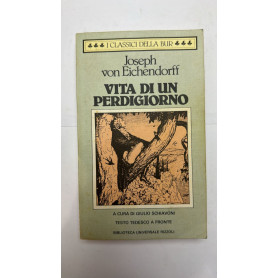 Vita di un perdigiorno