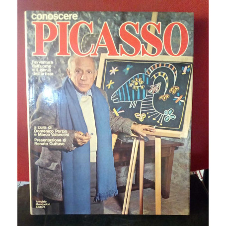 Conoscere Picasso
