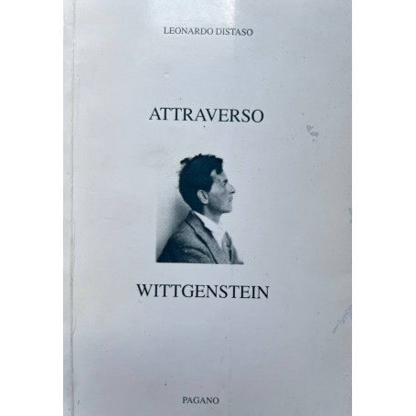 Attraverso Wittgenstein