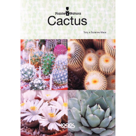 Cactus.