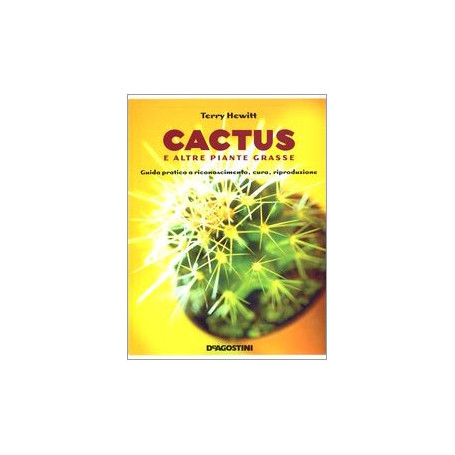 Cactus e altre piante grasse.