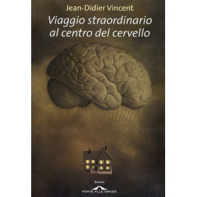 Viaggio straordinario al centro del cervello