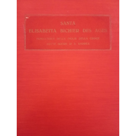 Santa Elisabetta Bichier des Ages fondatrice delle figlie della Croce 1773 - 1838