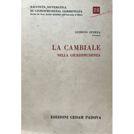 La cambiale nella giurisprudenza