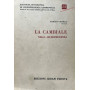La cambiale nella giurisprudenza