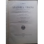 Anatomia Umana. Libro settimo: Organi sei Sensi. Libro ottavo: Respirazione e Fonazione