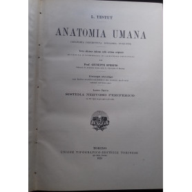 Anatomia Umana. Libro sesto: Sistema Nervoso Periferico