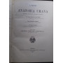 Anatomia Umana. Libro sesto: Sistema Nervoso Periferico