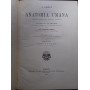 Anatomia Umana. Volume quarto: Angiologia