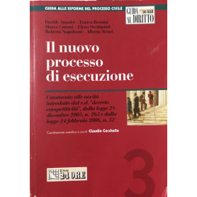 Il nuovo processo di esecuzione 3